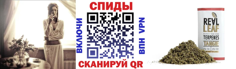 где купить наркотик  блэк спрут вход  БУТИРАТ 1.4BDO  Тихорецк 