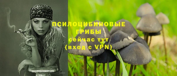 кокс Баксан